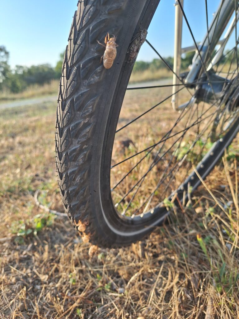 Voyage à vélo jour 2 : Caderousse - Saint Gilles