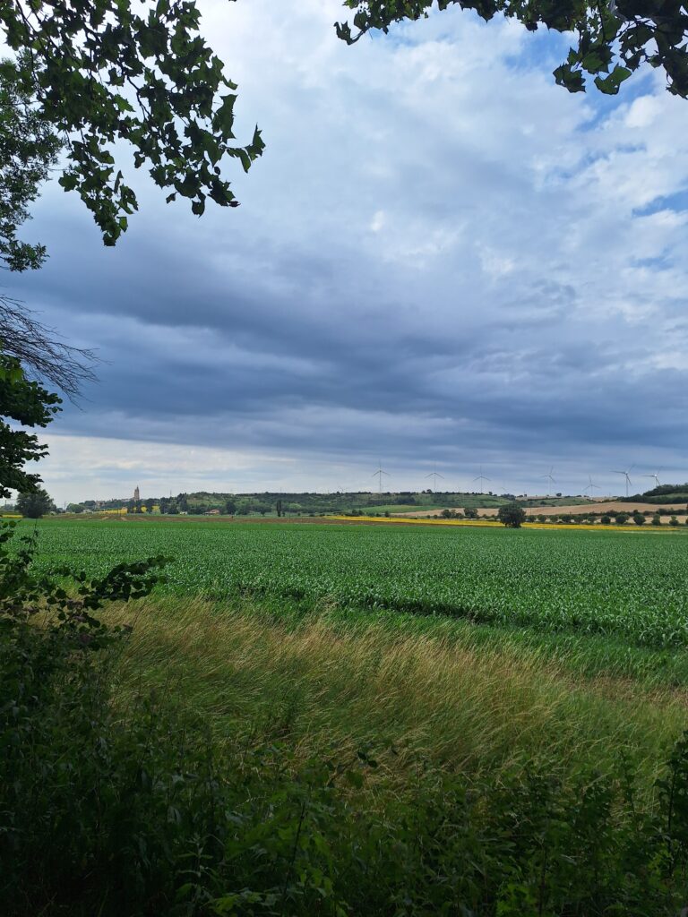 Voyage à vélo jour 8 : Villedubert - Avignonet Lauragais (Canal des deux mers)